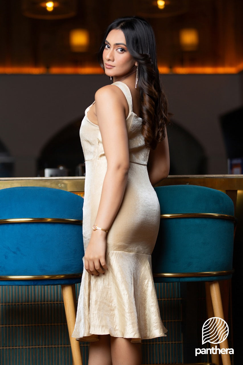 Gold Shine Party Wear Dress