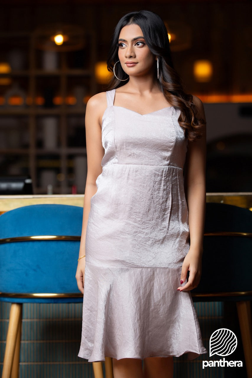 Silver Shine Party Wear Dress