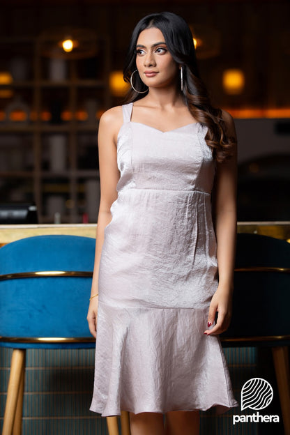 Silver Shine Party Wear Dress